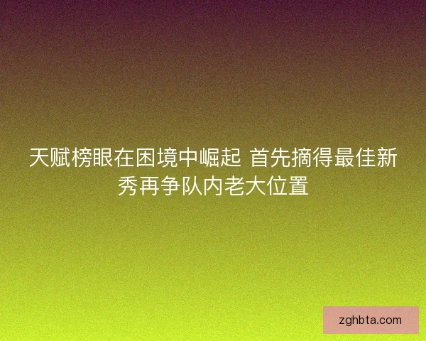 天赋榜眼在困境中崛起 首先摘得最佳新秀再争队内老大位置
