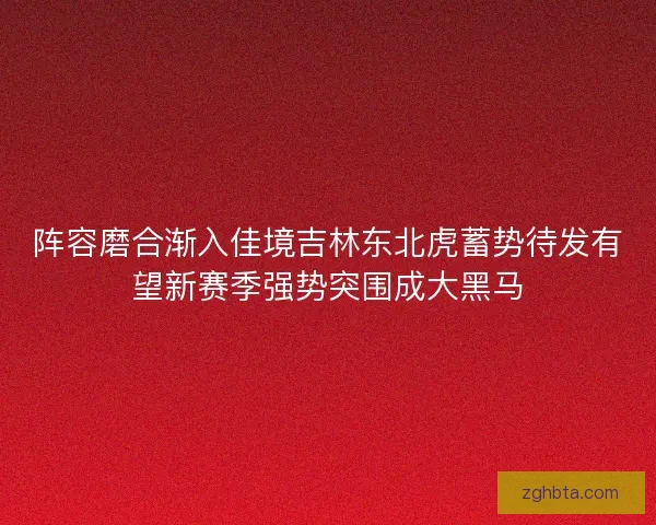 阵容磨合渐入佳境吉林东北虎蓄势待发有望新赛季强势突围成大黑马