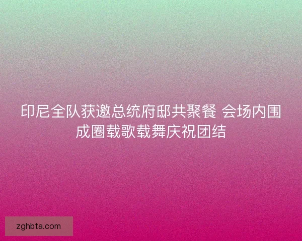 印尼全队获邀总统府邸共聚餐 会场内围成圈载歌载舞庆祝团结 印尼全队获邀总统府邸共聚餐 会场内围成圈载歌载舞庆祝团结